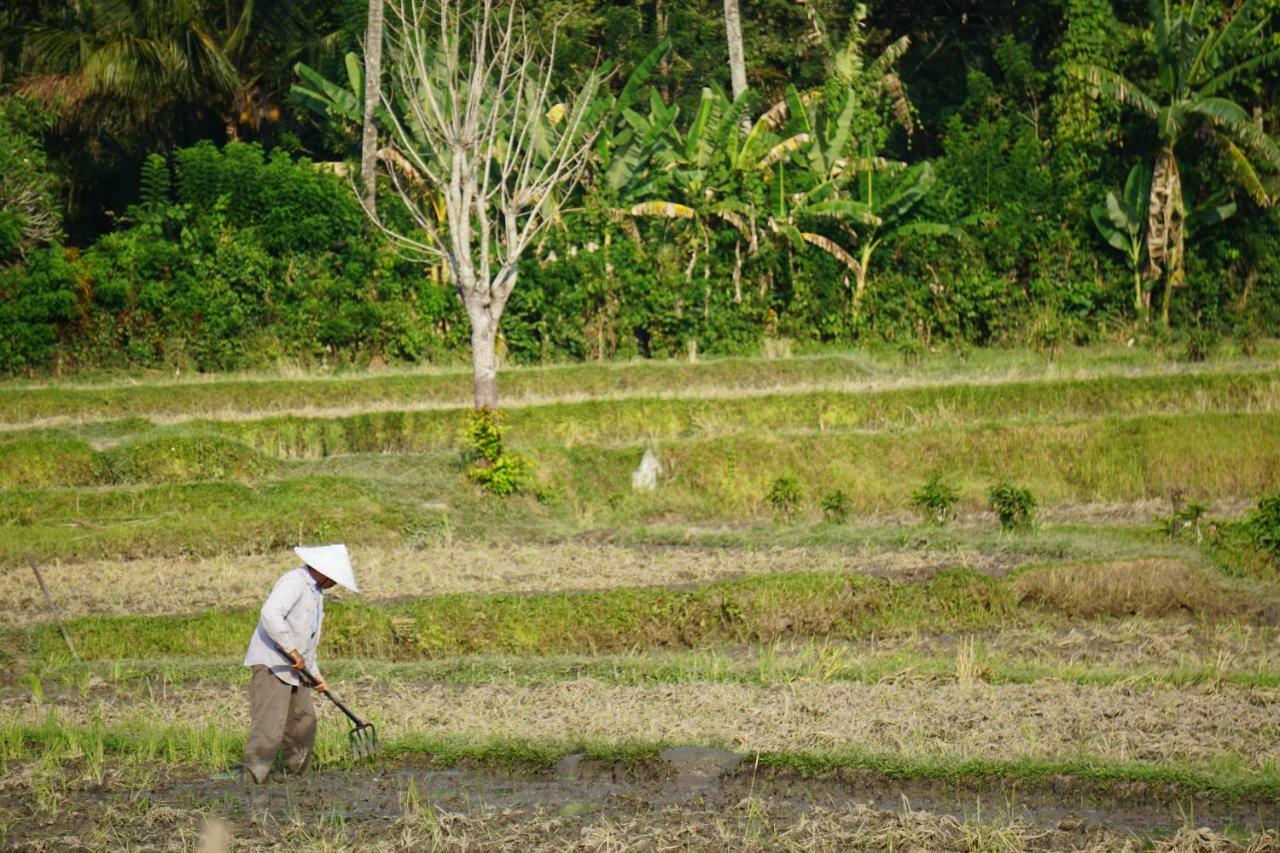 Отель Tegal Sari, Pemuteran- North Bali Экстерьер фото