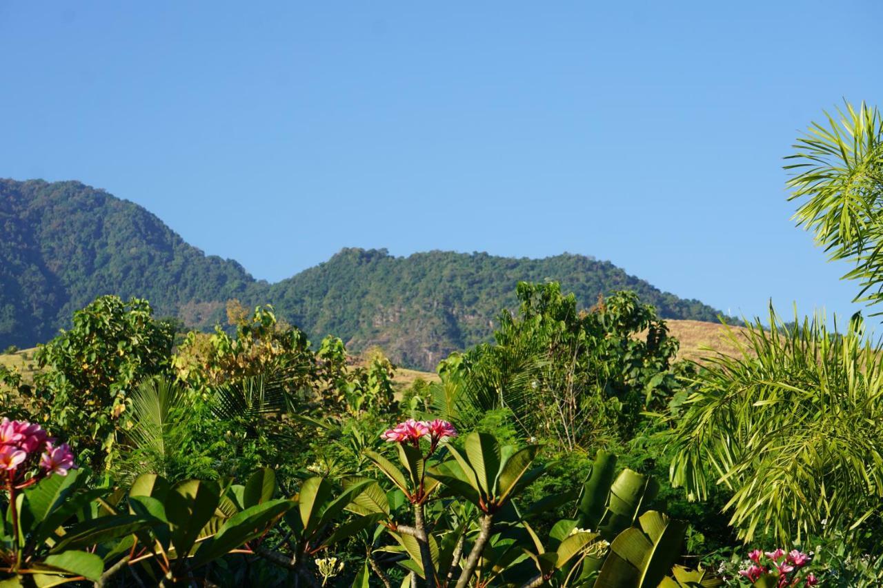 Отель Tegal Sari, Pemuteran- North Bali Экстерьер фото