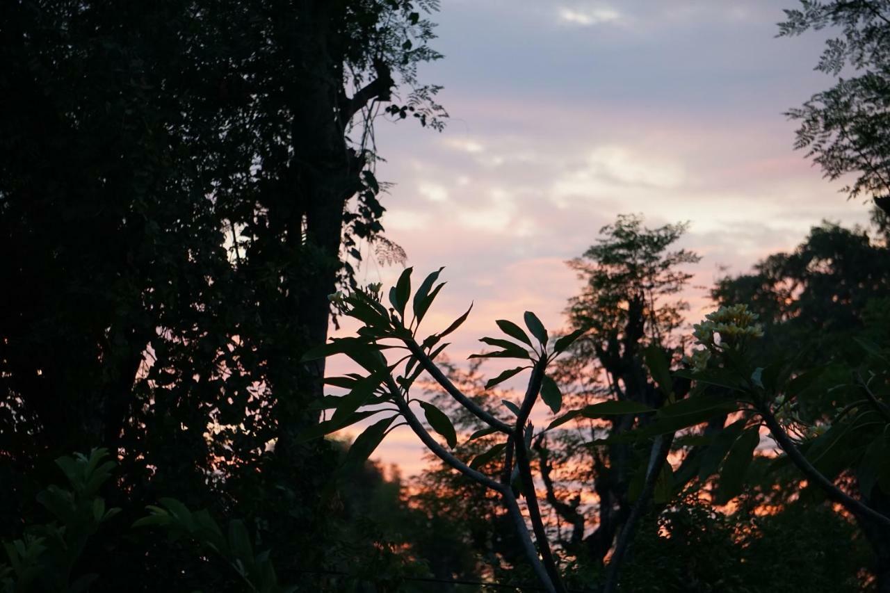 Отель Tegal Sari, Pemuteran- North Bali Экстерьер фото