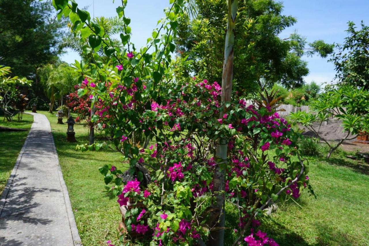 Отель Tegal Sari, Pemuteran- North Bali Экстерьер фото