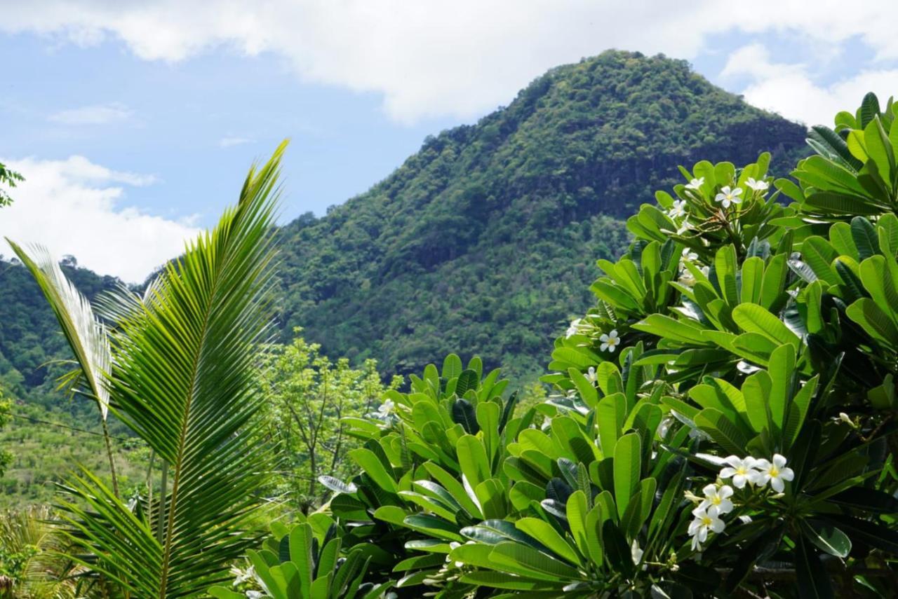 Отель Tegal Sari, Pemuteran- North Bali Экстерьер фото